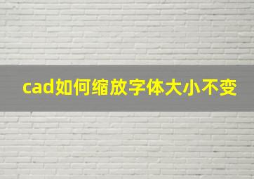 cad如何缩放字体大小不变