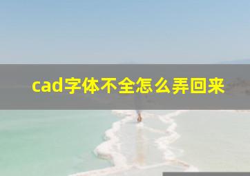 cad字体不全怎么弄回来