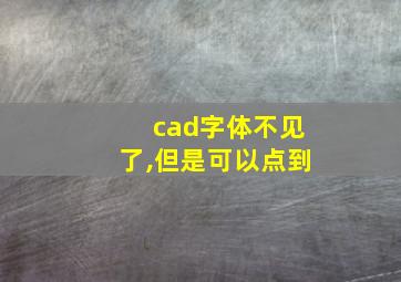 cad字体不见了,但是可以点到