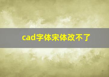 cad字体宋体改不了