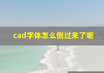 cad字体怎么倒过来了呢