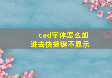 cad字体怎么加进去快捷键不显示