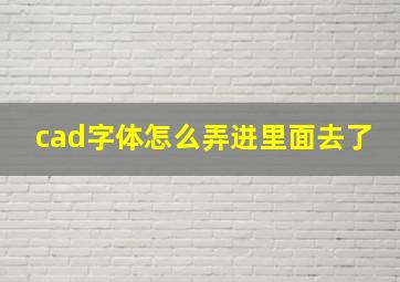 cad字体怎么弄进里面去了