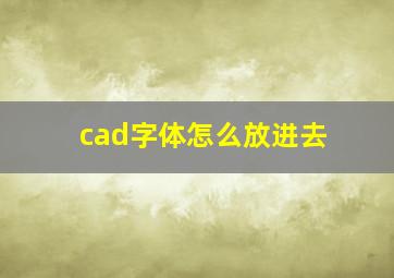 cad字体怎么放进去