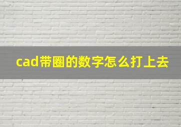 cad带圈的数字怎么打上去