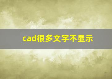 cad很多文字不显示