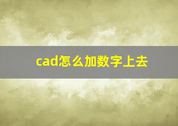 cad怎么加数字上去