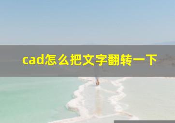 cad怎么把文字翻转一下