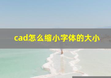 cad怎么缩小字体的大小