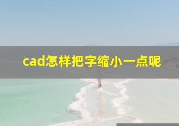 cad怎样把字缩小一点呢