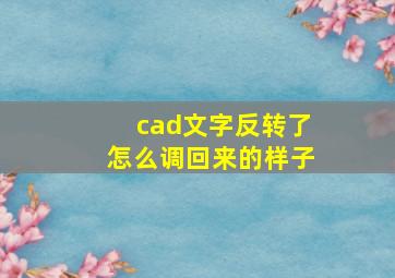 cad文字反转了怎么调回来的样子