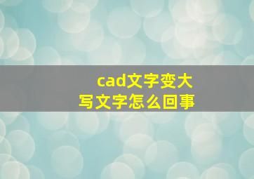 cad文字变大写文字怎么回事