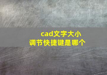 cad文字大小调节快捷键是哪个