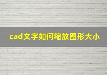 cad文字如何缩放图形大小