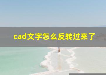 cad文字怎么反转过来了