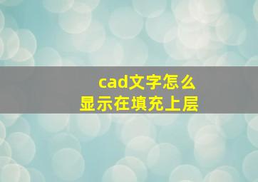 cad文字怎么显示在填充上层