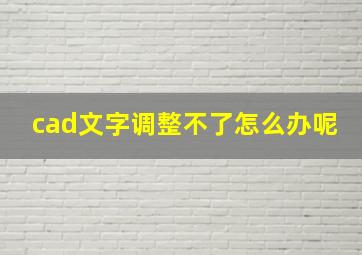 cad文字调整不了怎么办呢