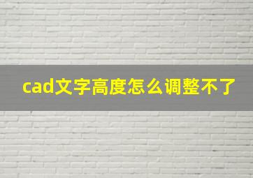 cad文字高度怎么调整不了