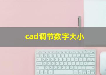 cad调节数字大小