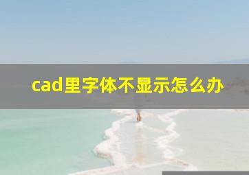 cad里字体不显示怎么办