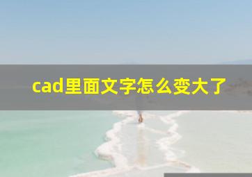 cad里面文字怎么变大了