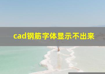 cad钢筋字体显示不出来