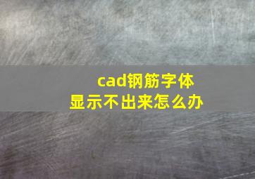 cad钢筋字体显示不出来怎么办