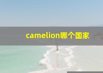 camelion哪个国家