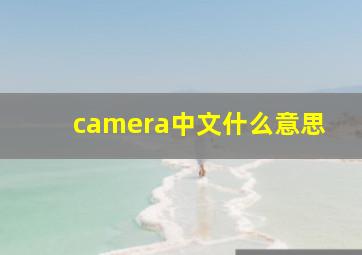 camera中文什么意思