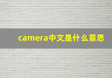 camera中文是什么意思