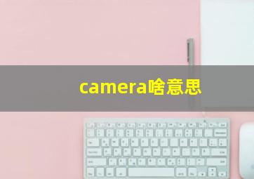 camera啥意思