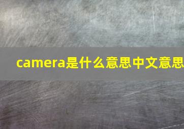 camera是什么意思中文意思