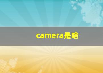 camera是啥