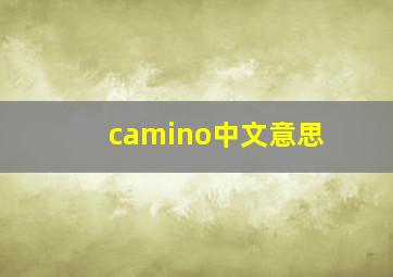 camino中文意思