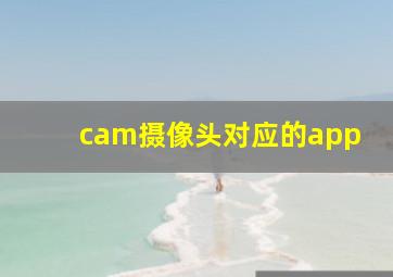 cam摄像头对应的app