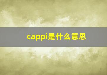 cappi是什么意思