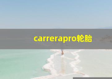 carrerapro轮胎