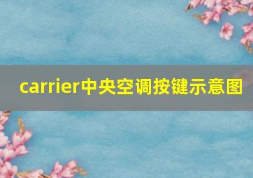 carrier中央空调按键示意图