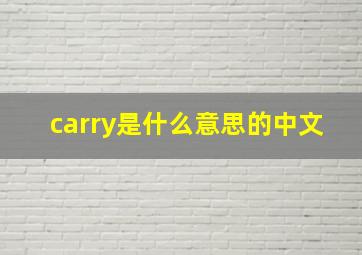 carry是什么意思的中文