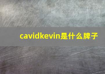 cavidkevin是什么牌子