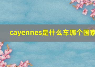 cayennes是什么车哪个国家