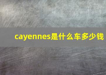 cayennes是什么车多少钱