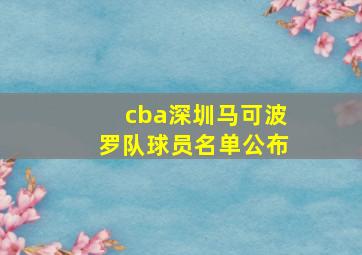 cba深圳马可波罗队球员名单公布