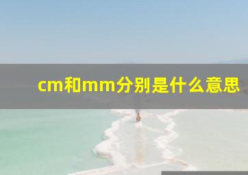 cm和mm分别是什么意思