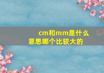 cm和mm是什么意思哪个比较大的