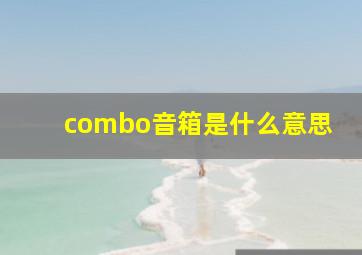 combo音箱是什么意思