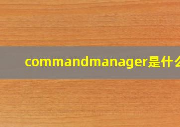 commandmanager是什么意思