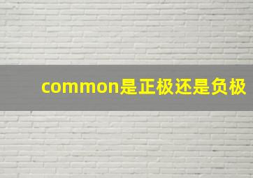 common是正极还是负极