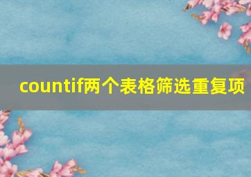 countif两个表格筛选重复项