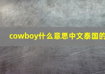 cowboy什么意思中文泰国的